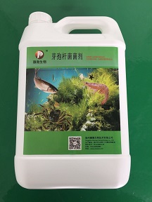 芽孢杆菌菌剂
